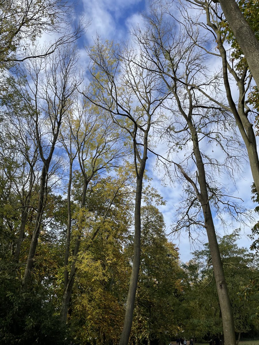 Grateful to be outdoors this weekend #FreshAir 👌👌