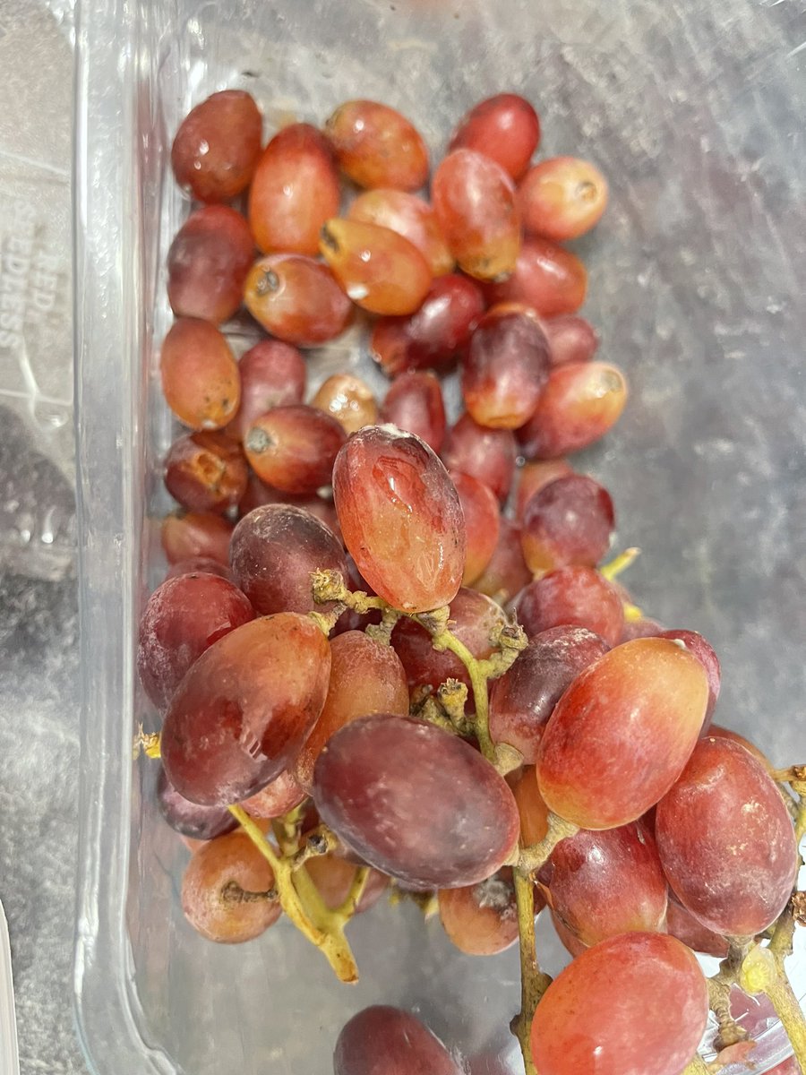 🏴󠁧󠁢󠁷󠁬󠁳󠁿 Jo 🏴󠁧󠁢󠁷󠁬󠁳󠁿 💙 tweet media