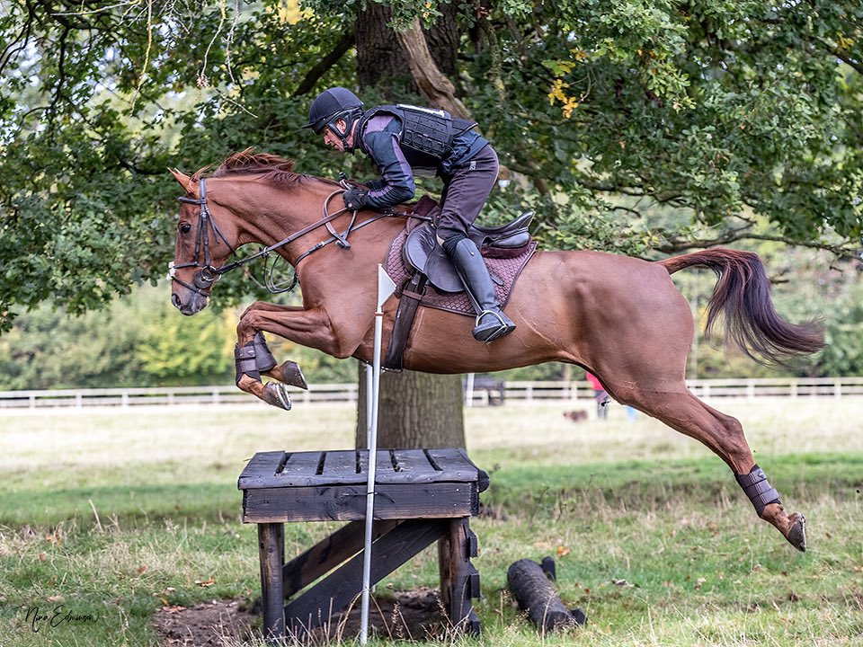 Andy Robertson tweet media