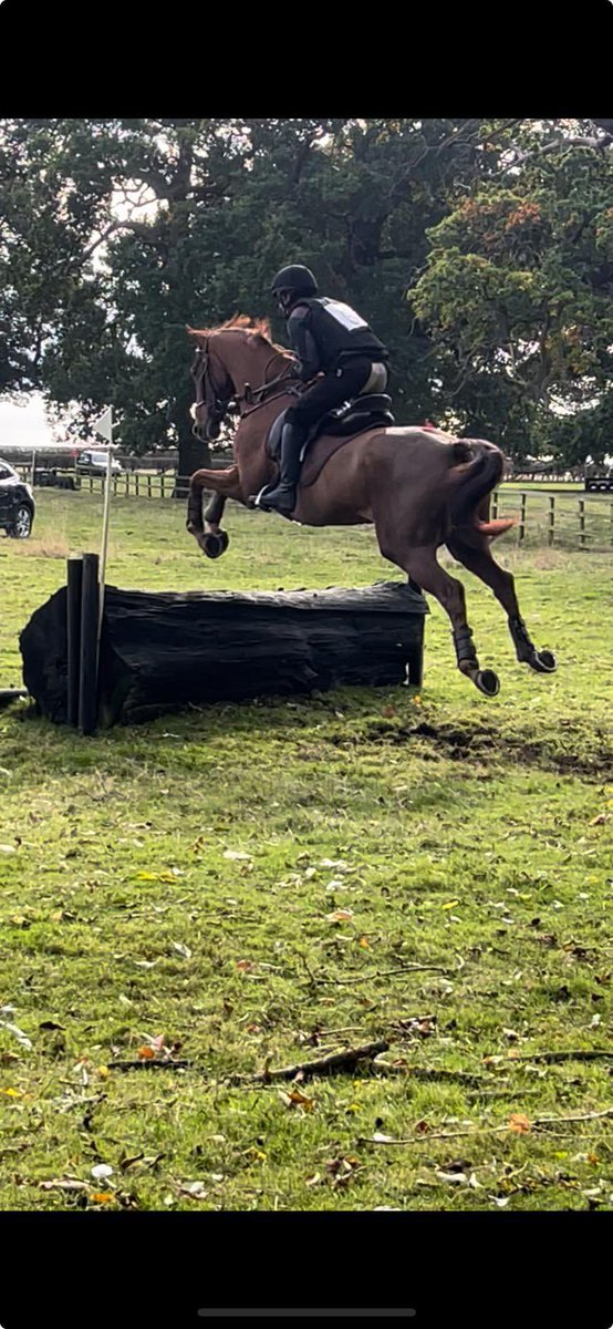 Definitly Red still loving his jumping at the age of 15. 🥈 Maunby hunter trail a couple of weeks ago.<a href="/RoRlatest/">RoR</a> <a href="/AintreeRaces/">Aintree Racecourse</a> #HorsesForCourses