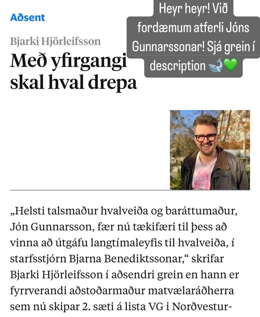 heimildin.is/grein/23059/me…