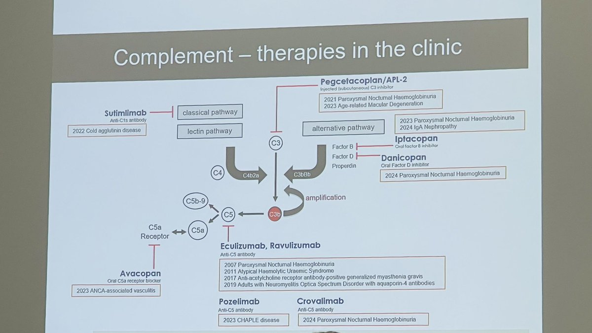 Exciting times in the GN world. Transformative treatment available for C3GN! #KidneyWk