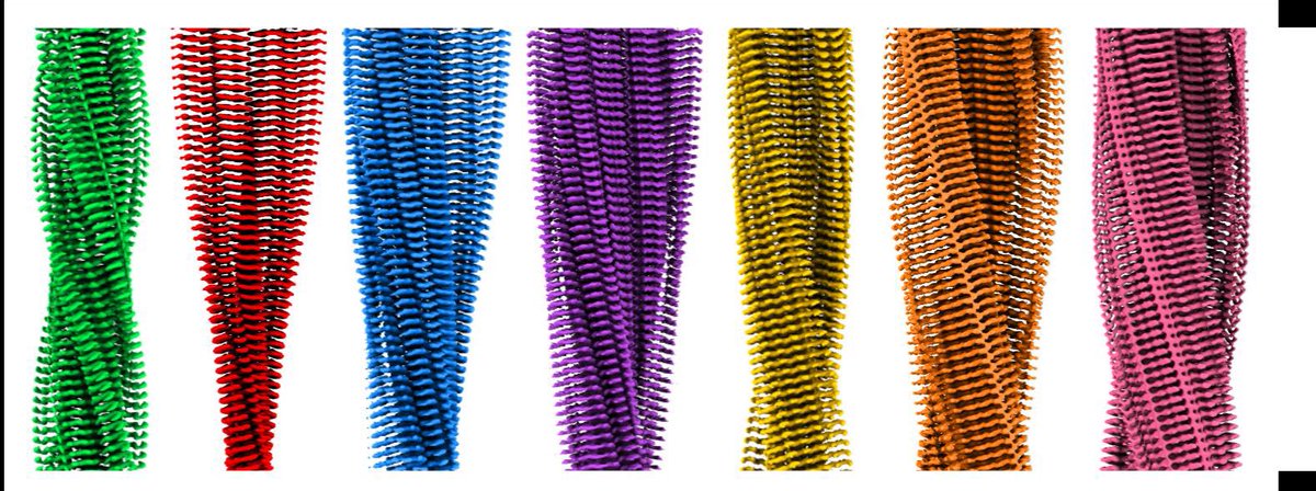 RadfordLab (@radfordlab) on Twitter photo Post doc in cryo EM of Amyloid- with <a href="/naranson/">Neil Ranson</a> and <a href="/AstburyCentre/">The Astbury Centre</a>- an exciting opportunity for you to join our collegiate and inspiring team trying to crack amyloid disease by better understanding its formation from test tubes to tissues. Apply here
jobs.leeds.ac.uk/Vacancy.aspx?r… Post doc in cryo EM of Amyloid- with <a href="/naranson/">Neil Ranson</a> and <a href="/AstburyCentre/">The Astbury Centre</a>- an exciting opportunity for you to join our collegiate and inspiring team trying to crack amyloid disease by better understanding its formation from test tubes to tissues. Apply here
jobs.leeds.ac.uk/Vacancy.aspx?r…