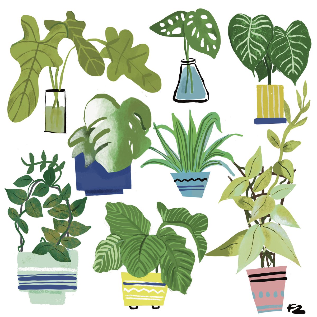 Todays prompt with @theydrawandgarden is LEAVES 
.
.
.
#illustration #illustrationart #editorialillustration #drawtober #drawtober2024 #botanicalillustration #theydrawandgarden #gardening