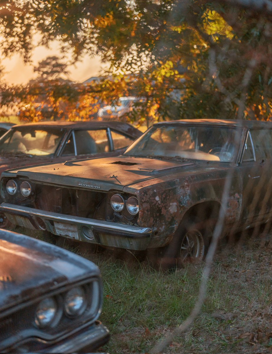 Sunset Classics