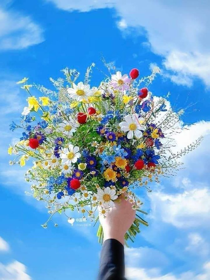 Silentium123123's tweet image. Happy Birthday. Wishing you the best of everything in life