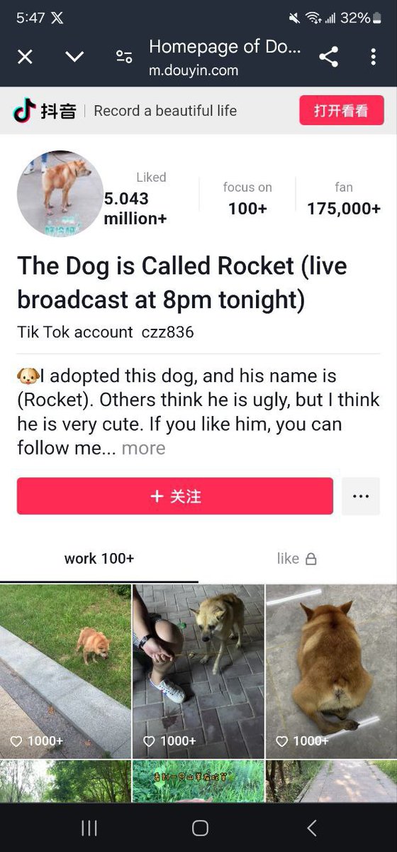 RocketErcCto (@rocketerccto) on Twitter photo to Valhalla, Ape in if you know whats good for you!
<a href="/RocketErcCto/">RocketErcCto</a> ππ₯πππ₯πππ to Valhalla, Ape in if you know whats good for you!
<a href="/RocketErcCto/">RocketErcCto</a> ππ₯πππ₯πππ