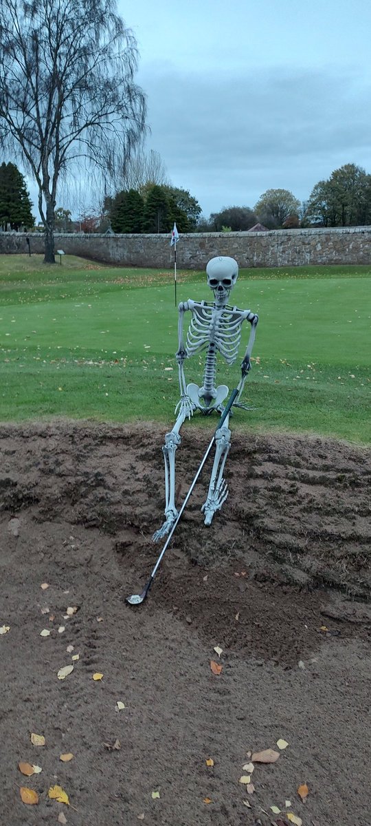 Cupar Golf Club Junior Section tweet media