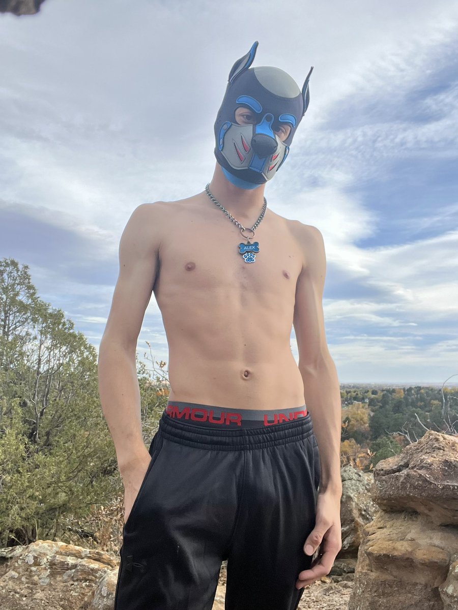 Alex the Pup tweet media