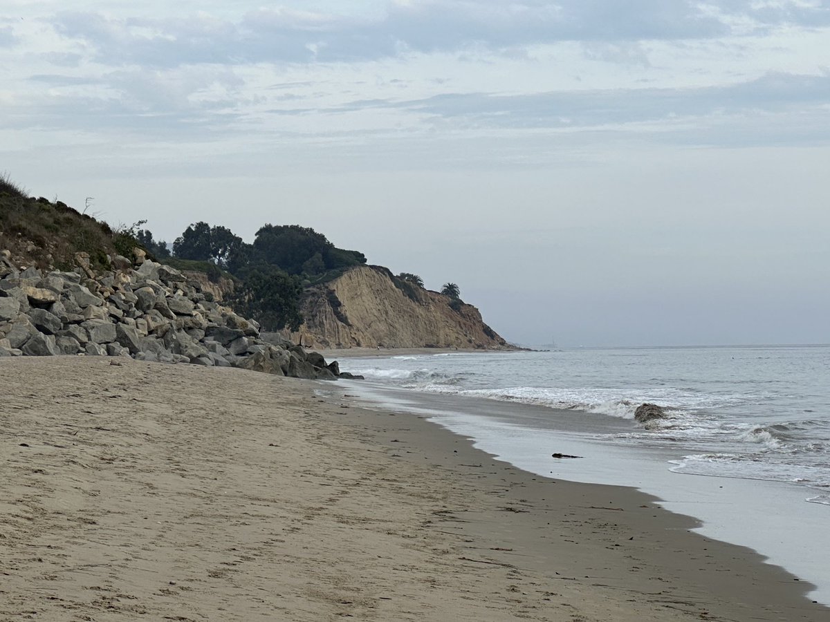 T.C. Boyle tweet media