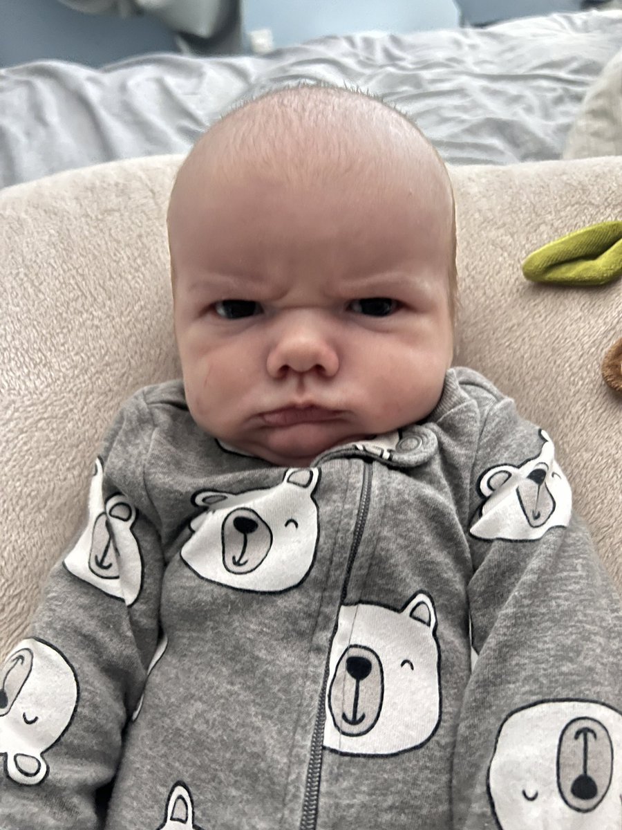 bethhannel's tweet photo. My mean mugging little dude #newborn #angrybird https://t.co/dYHfCf4KMg