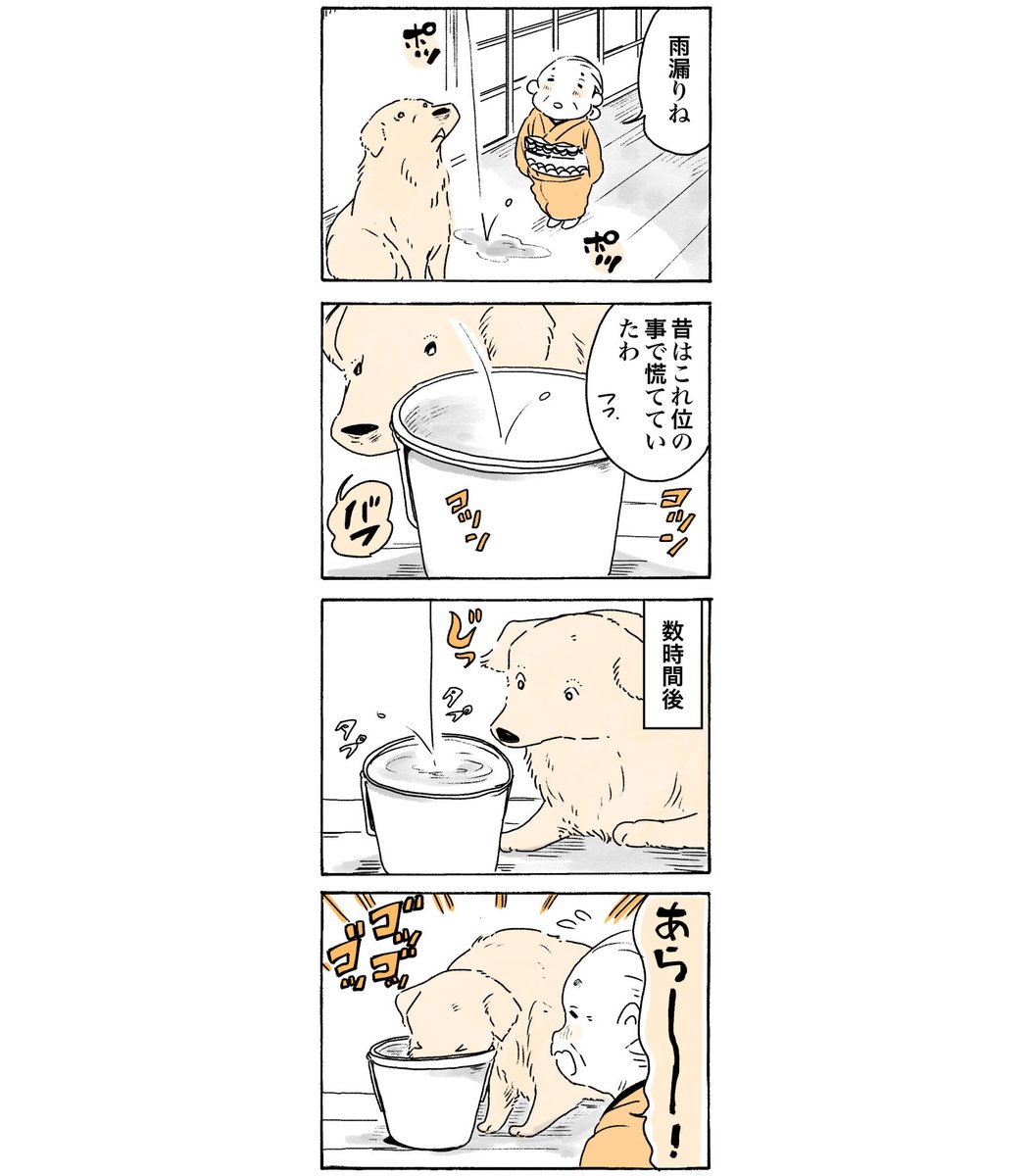 雨の日のおはワンです☔️

#姫ばあちゃんとナイト 