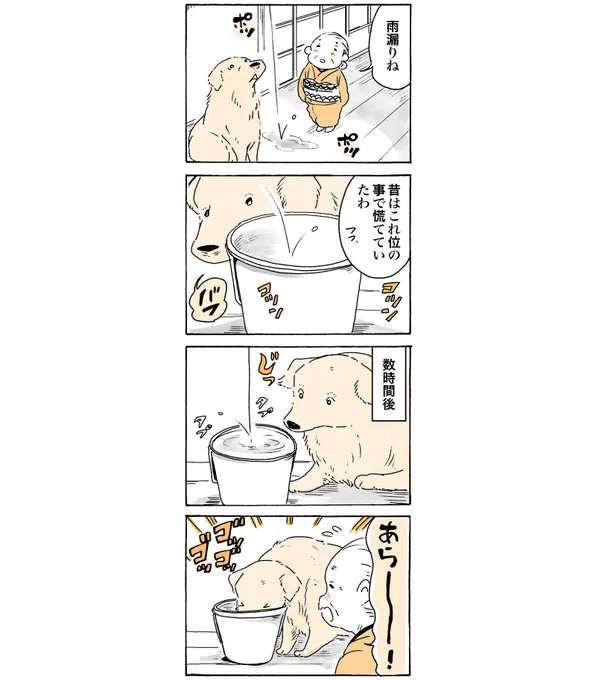 雨の日のおはワンです☔️

#姫ばあちゃんとナイト 