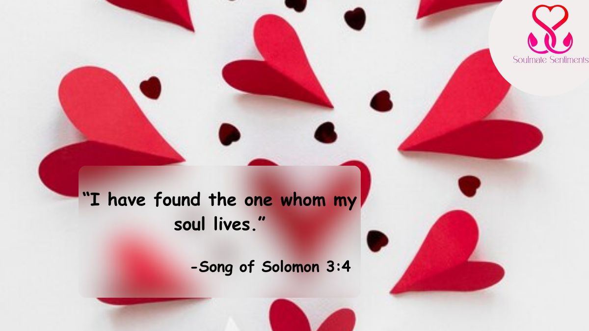 SM_Sentiments's tweet image. I have found the one whom my soul loves. ❤️

#love #Soulmates #FoundTheOne #RelationshipQuotes #InLove #CoupleGoals