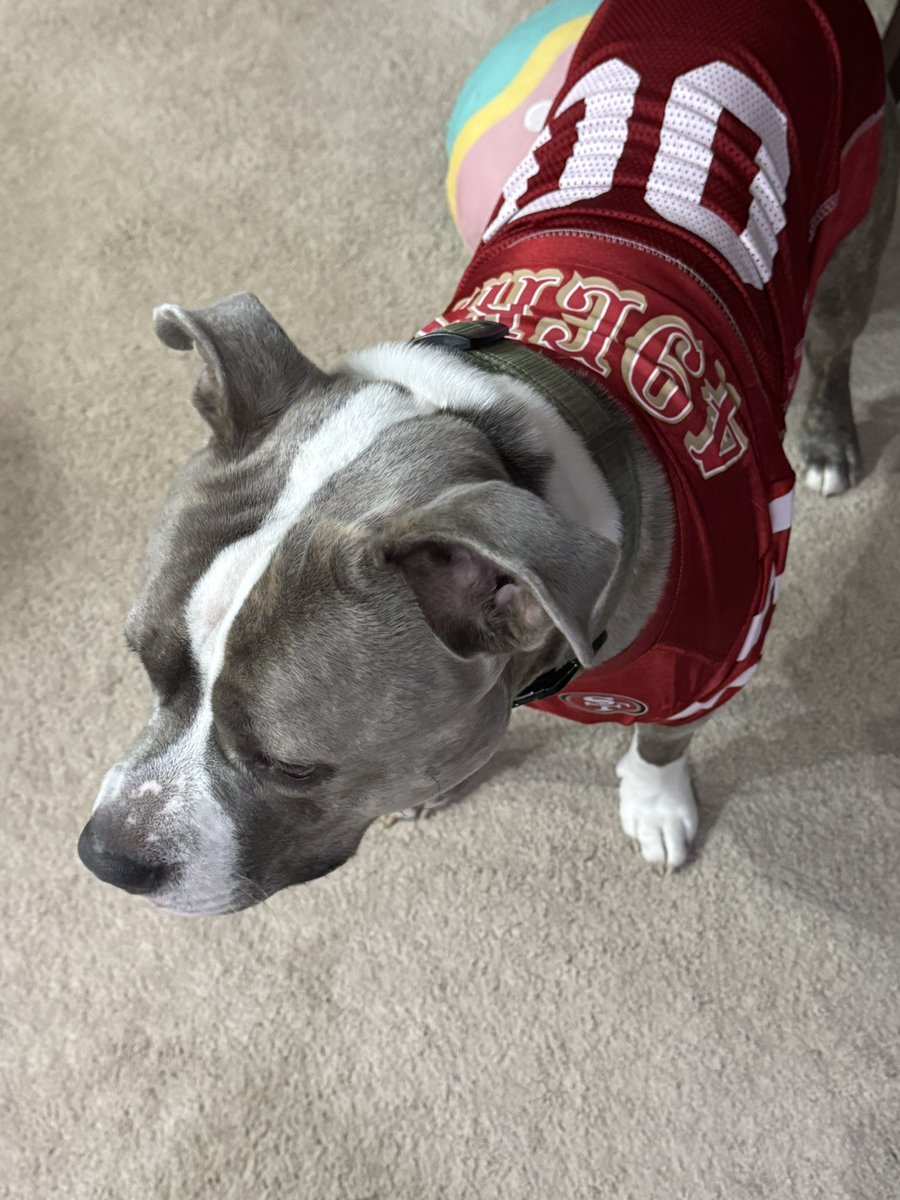 49erFaithful365's tweet image. #GoNiners