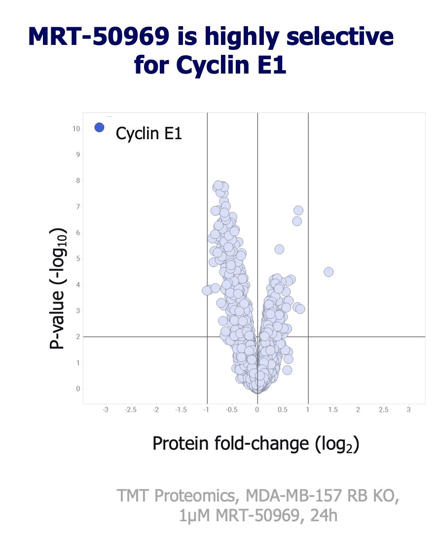 wgibson's tweet image. This first-in-class CCNE1 degrader from Monte Rosa is really impressive.
It's a molecular glue that finds a shallow pocket on CCNE1 and displays cooperative binding to CRBN, w/ EC50 of 3 nM for the ternary complex.
Highly specific CCNE1 degradation.
ir.monterosatx.com/static-files/d…