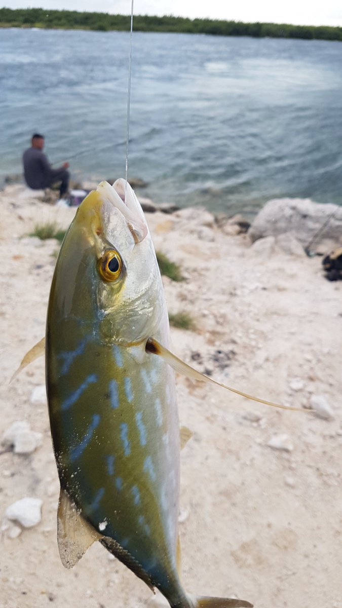 HConcia's tweet photo. Gran pesca para todos los amantes de este hobby. #pesca https://t.co/ieWq0fyBEY