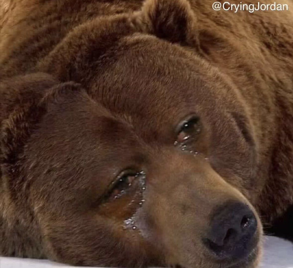 downbadbears's tweet photo. pain &amp; misery is all i feel. https://t.co/kGnU6AxIOj