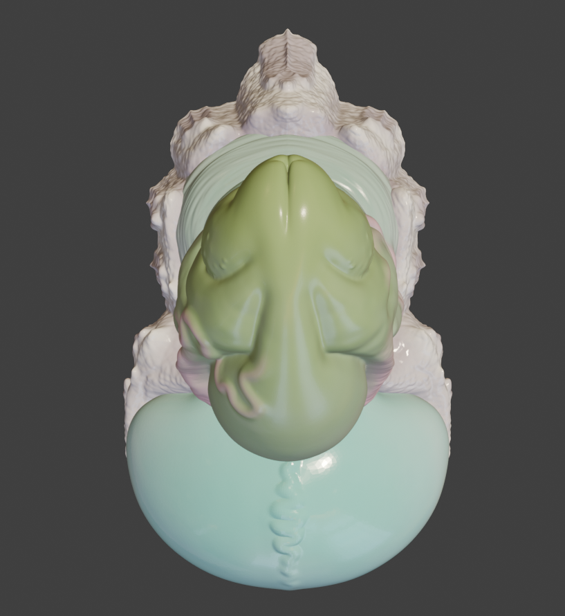 🪲New model available!✨✨Vaguely beetle/carapace inspired?🤔DMs are open for questions &amp; inquiries☺️💚This one wont be on my site right away either but I swear I'm planning on updating it soon😂#dongdesign #fantasy #sextoy #monster #insertable #dildo #veins #swell #balls