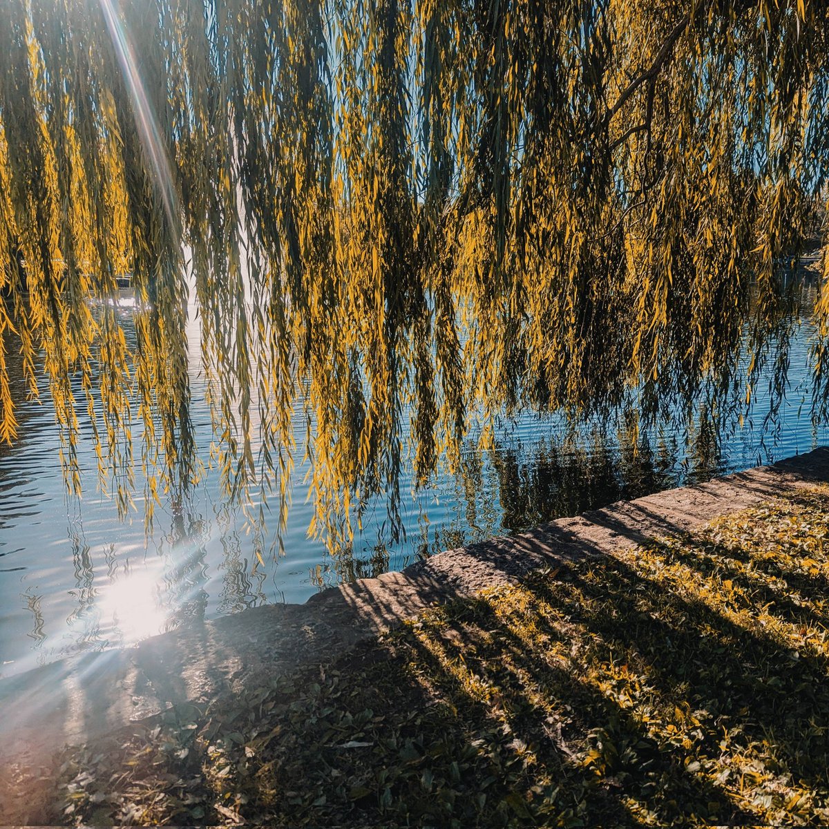 the hero // 11.01.2024