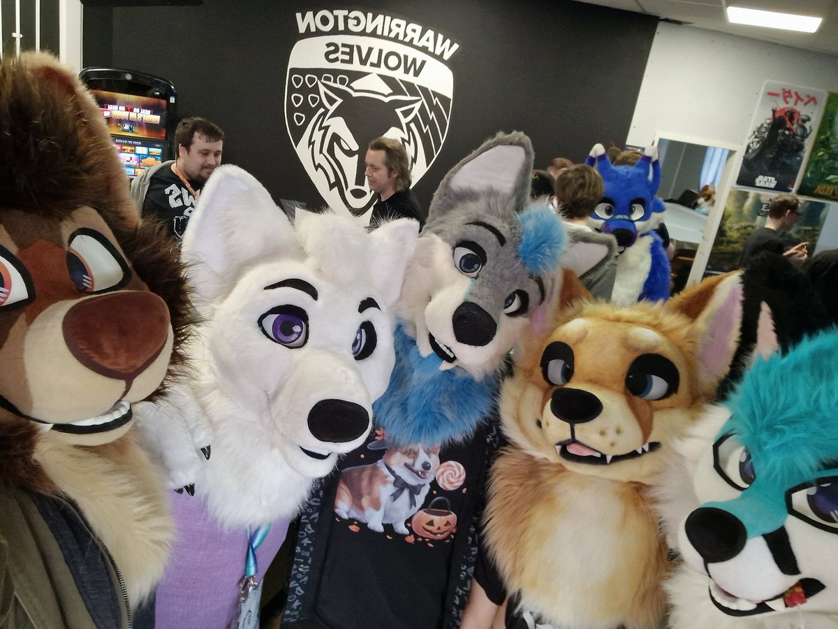 Atatatlas's tweet photo. Awesome time swinging by @Warrington_Furs yesterday

@ThePocketyFox
@CerriFox 
@CheetahMinty 
@gotloaf 
@PastryWuff 
@LapisWolfe 
@Secret_Wolfe 
@Wuffmallow https://t.co/JqtEznes9j