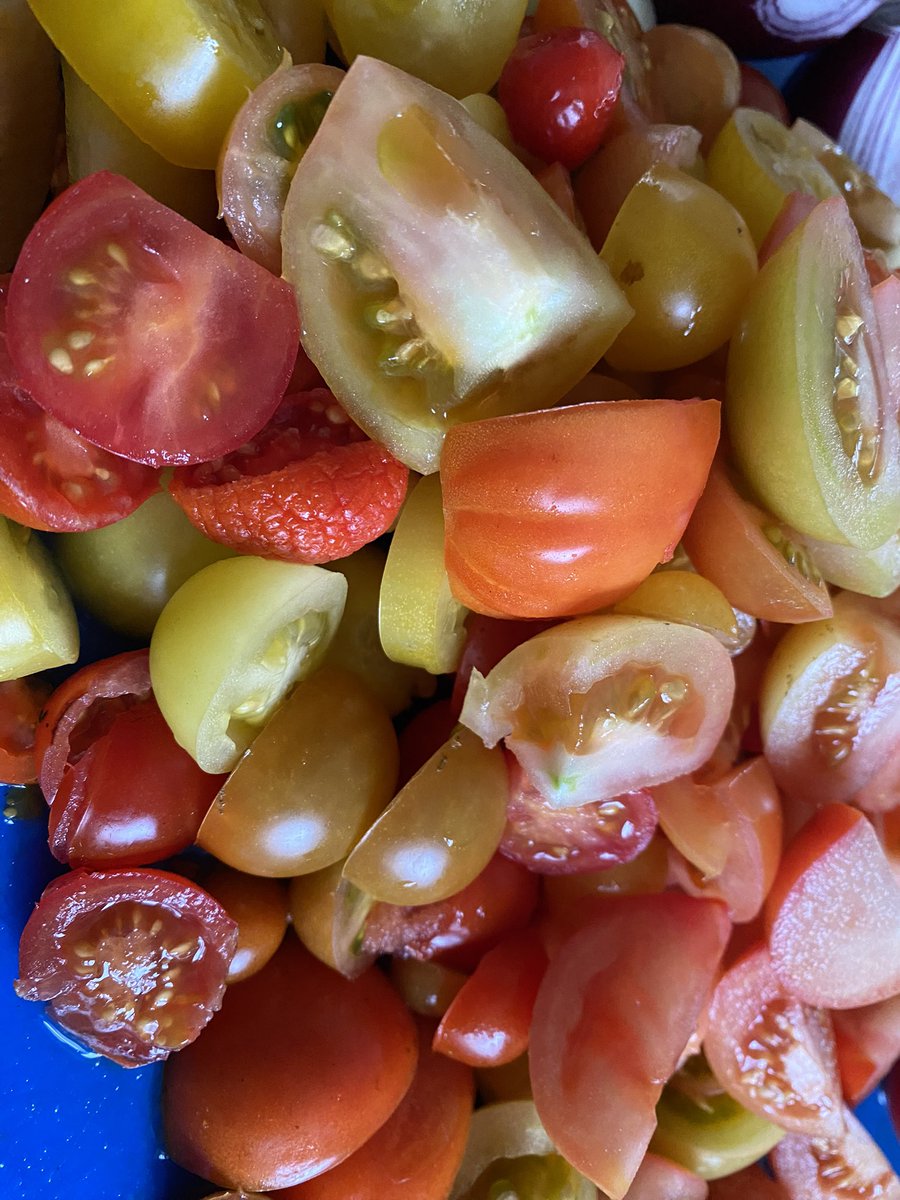 lwelsh's tweet image. Amazing what you can achieve on a CPOMS-free-Sunday!! Happy half term tweeps and especially #TeamPindar x