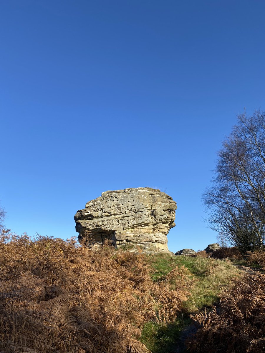 lwelsh's tweet image. Amazing what you can achieve on a CPOMS-free-Sunday!! Happy half term tweeps and especially #TeamPindar x