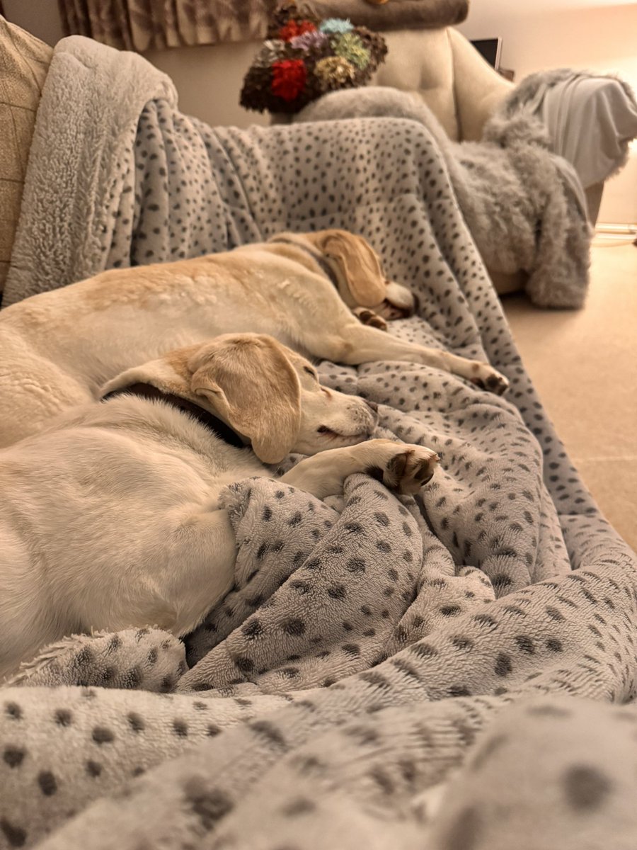 Sunday night sofa wis da Dad