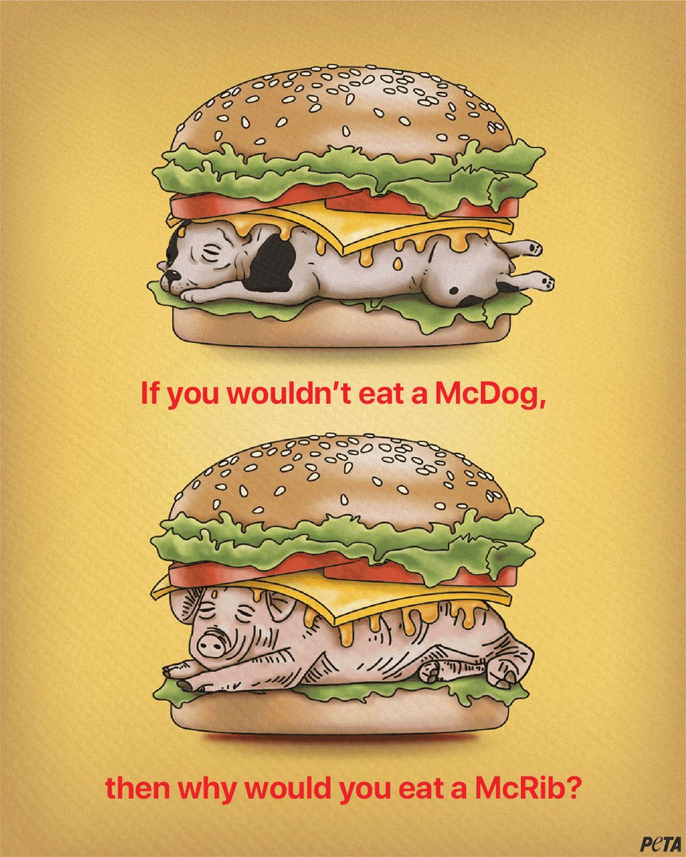 peta's tweet photo. Pigs are loving, curious, &amp; feel pain &amp; suffering—just like your dog at home 🐶🐷
 
So, before you eat @McDonalds’ #McRib, ask yourself: would you eat your dog? If the answer is no, #GoVegan 🌱 https://t.co/7KSVpPot7a