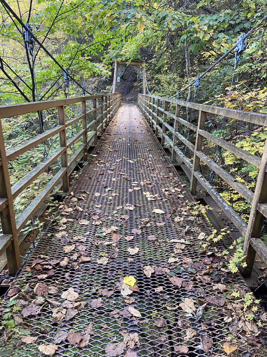 kiwa_lab's tweet photo. 休みの前日、明日何しよう？ってなり、思いつきで西沢渓谷に行きました。

紅葉にはまだ早く時間も早いから、ほとんど人に遭うことはなく、終始自分だけのペースで歩けて、気持ちが落ち着きます。

明日何しよう？からの山歩き。ハマりそうです。 https://t.co/oMJUu8BMpu