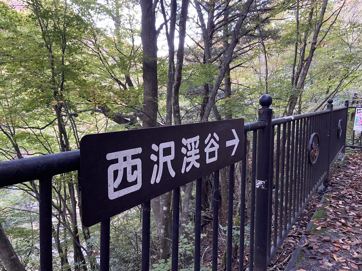 kiwa_lab's tweet photo. 休みの前日、明日何しよう？ってなり、思いつきで西沢渓谷に行きました。

紅葉にはまだ早く時間も早いから、ほとんど人に遭うことはなく、終始自分だけのペースで歩けて、気持ちが落ち着きます。

明日何しよう？からの山歩き。ハマりそうです。 https://t.co/oMJUu8BMpu