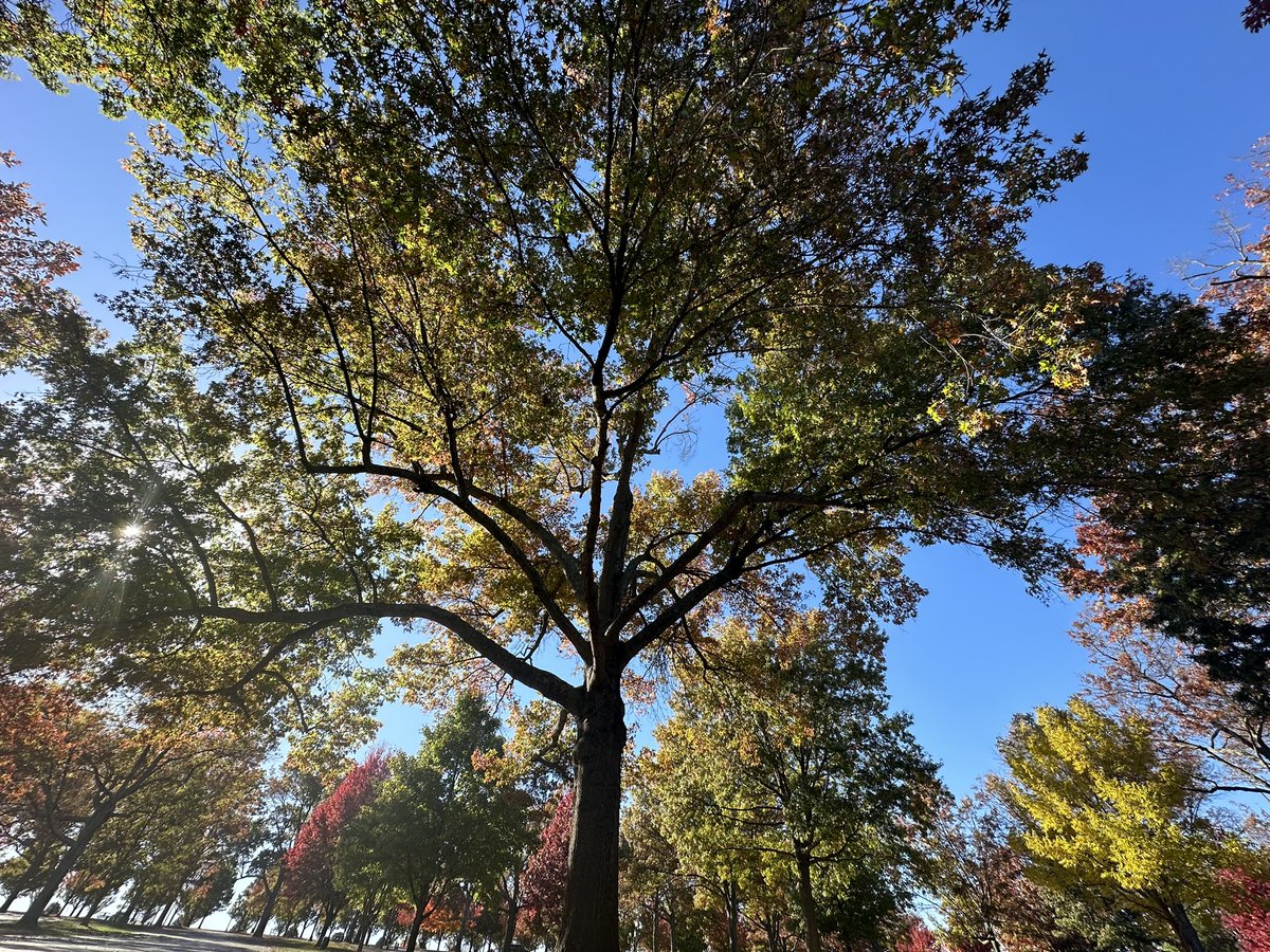 Tip from a local— visit <a href="/keeneland/">Keeneland</a> for the scenery.