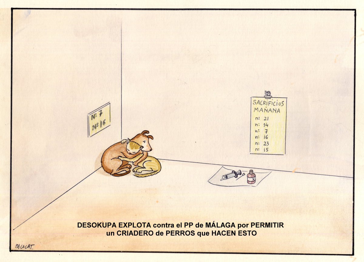 Málaga no merece esto. Nos avergüenza a toda España tanta crueldad con los más indefensos. Además de matar les hacen sufrir lo indecible.
Pero hay personas con corazón dispuestas a ayudarles y eso nos llena a muchos de esperanza.