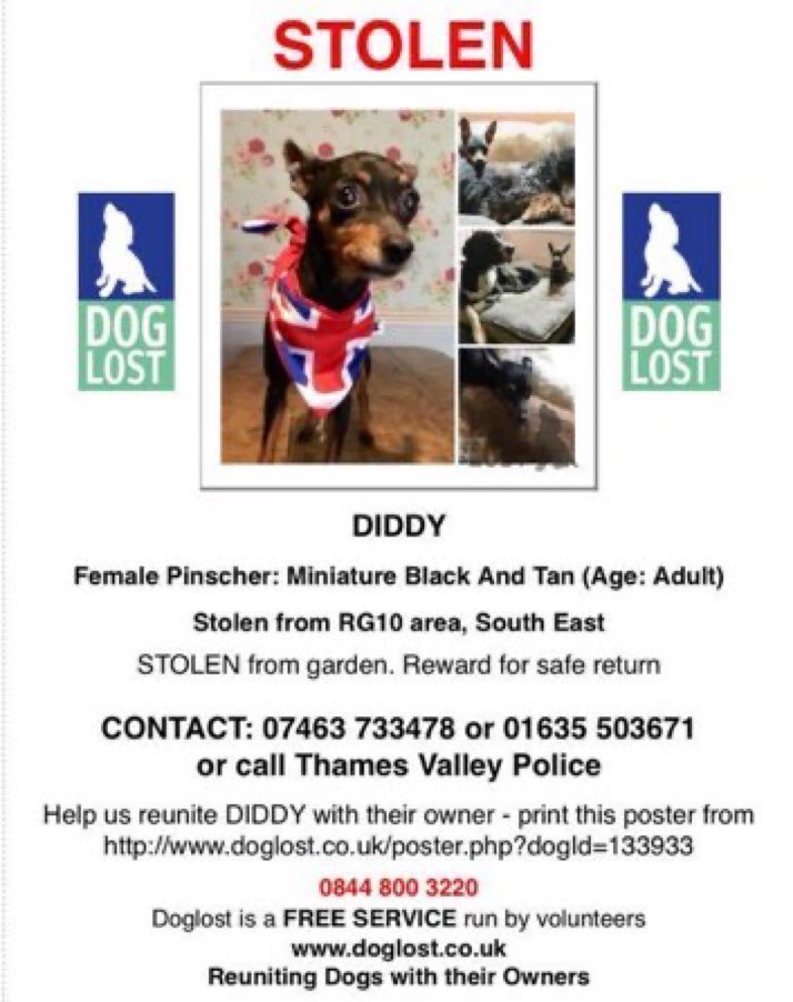 LisaClareRead2's tweet photo. Diddy is still missing after 6 years π’ She was stolen on 31st August 2018 from her garden in the #HareHatch area of #Berkshire Have you seen her? Please help get her home where she belongs πππΎ #Stolendoghour #findourDiddy #dogs #minaturepinscher #RG10 #SouthEast https://t.co/6FRyRTj7e0