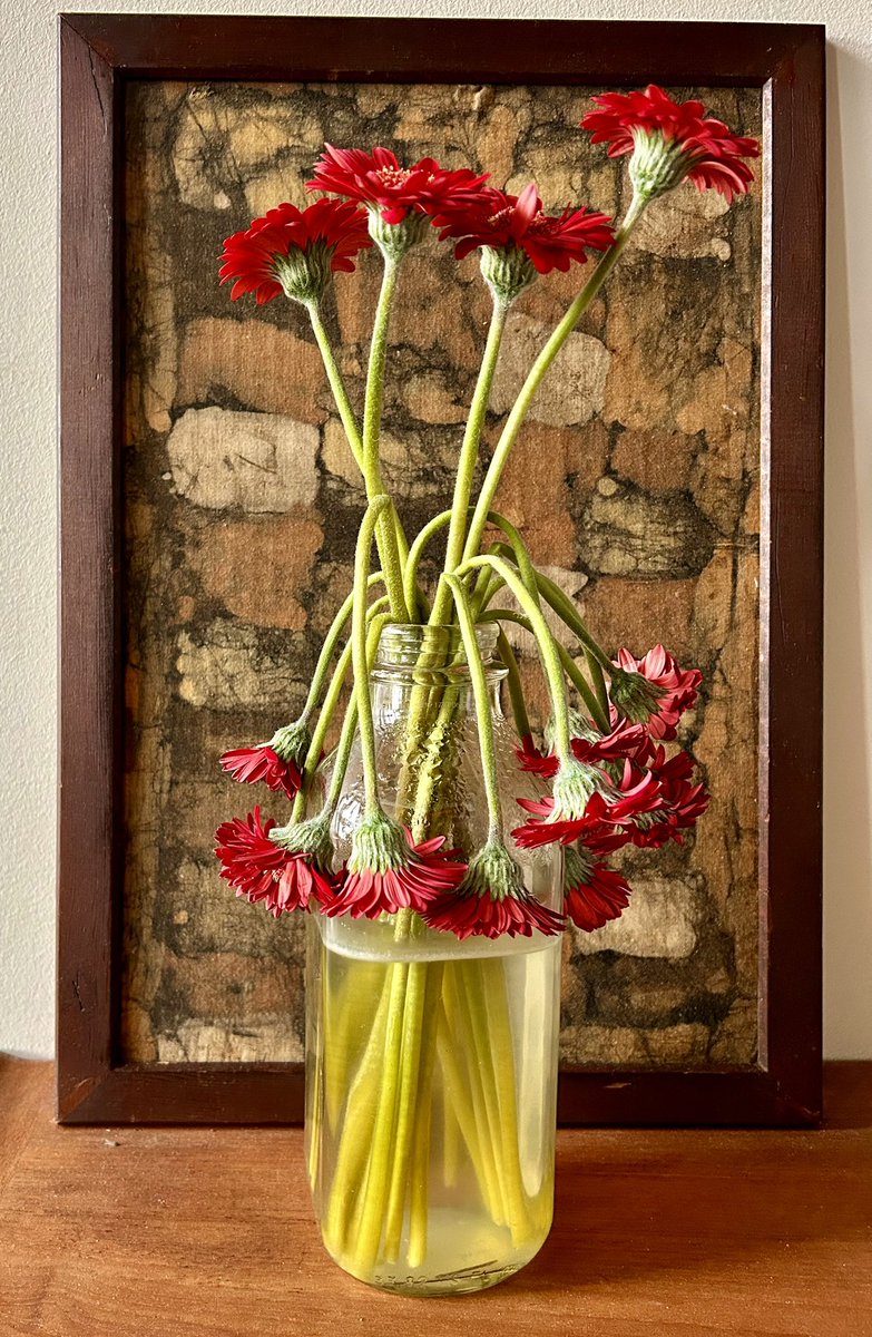 Liking the last gasps.