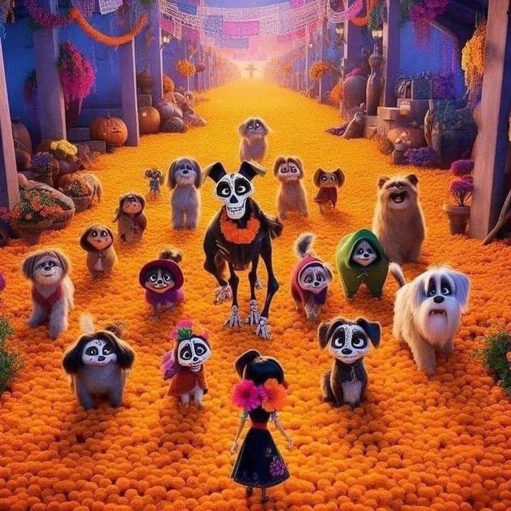 Van llegando… ♥️