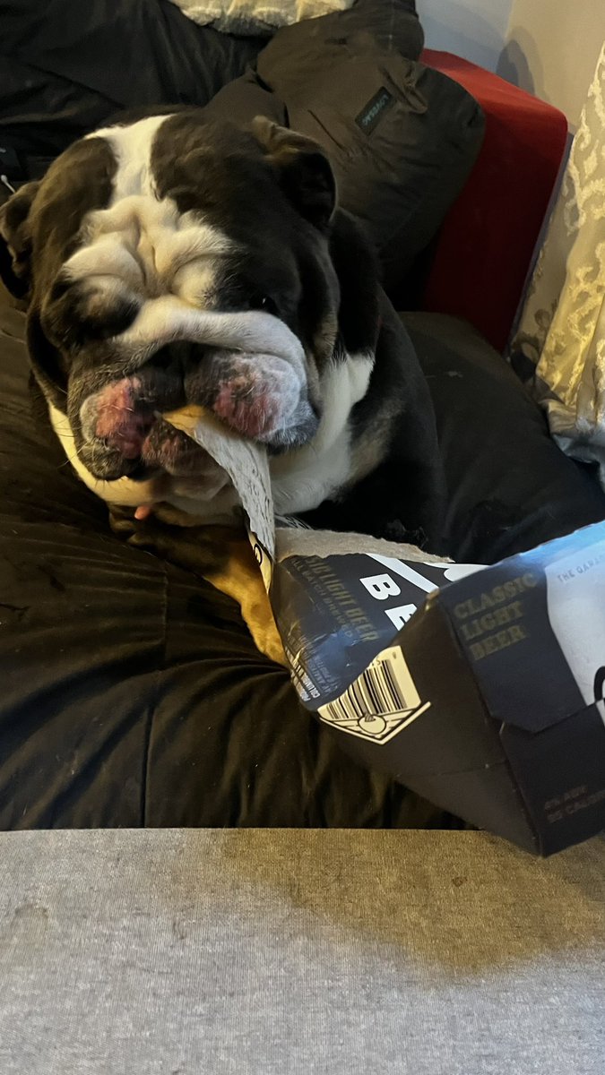 Eileen Murphy tweet media