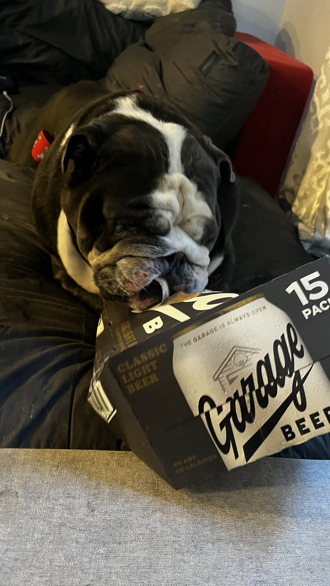 Eileen Murphy tweet media