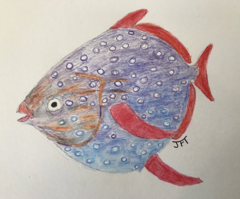It’s Opah day for #SundayFishSketch 2024 vs 2019