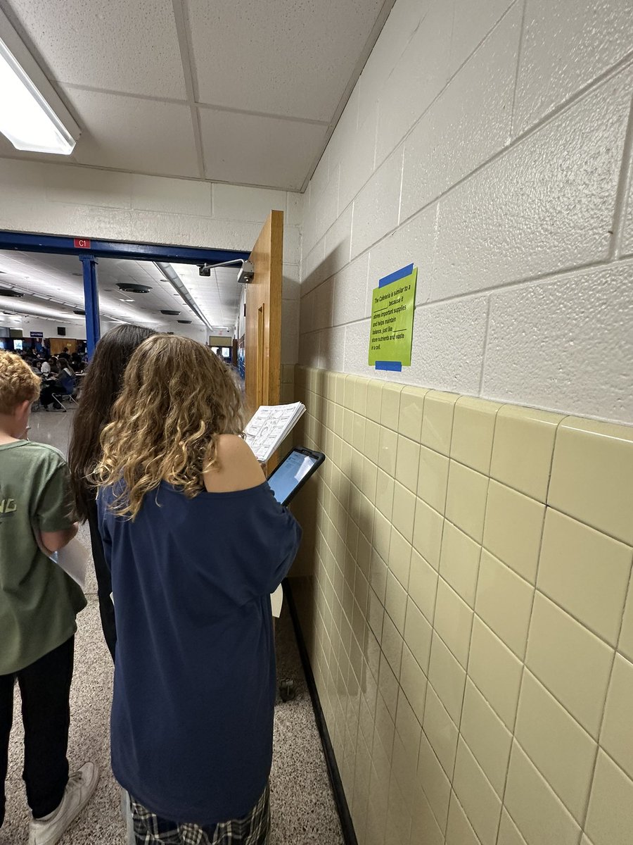 โ๐ ๐ค๐๐๐๐ฃ๐ช ๐๐๐ค๐ค๐๐๐๐๐ฃ ๐ฆ
tweet media