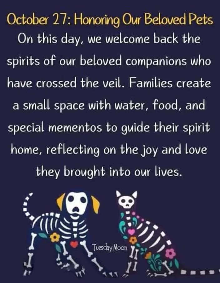 Mary McIsaac (@marymcisaac) on Twitter photo 