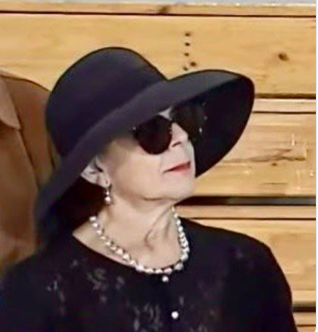 Iherreraa's tweet photo. Las estrellas que vimos votando en las elecciones : Silvia Piñeiro, Elton John, El Chómpiras y Alf https://t.co/NTCNQhSmF3