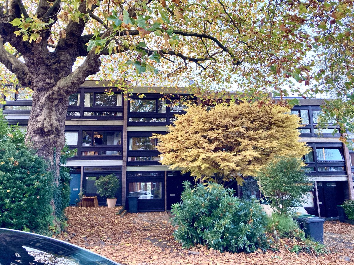 Love autumn and #modernism.