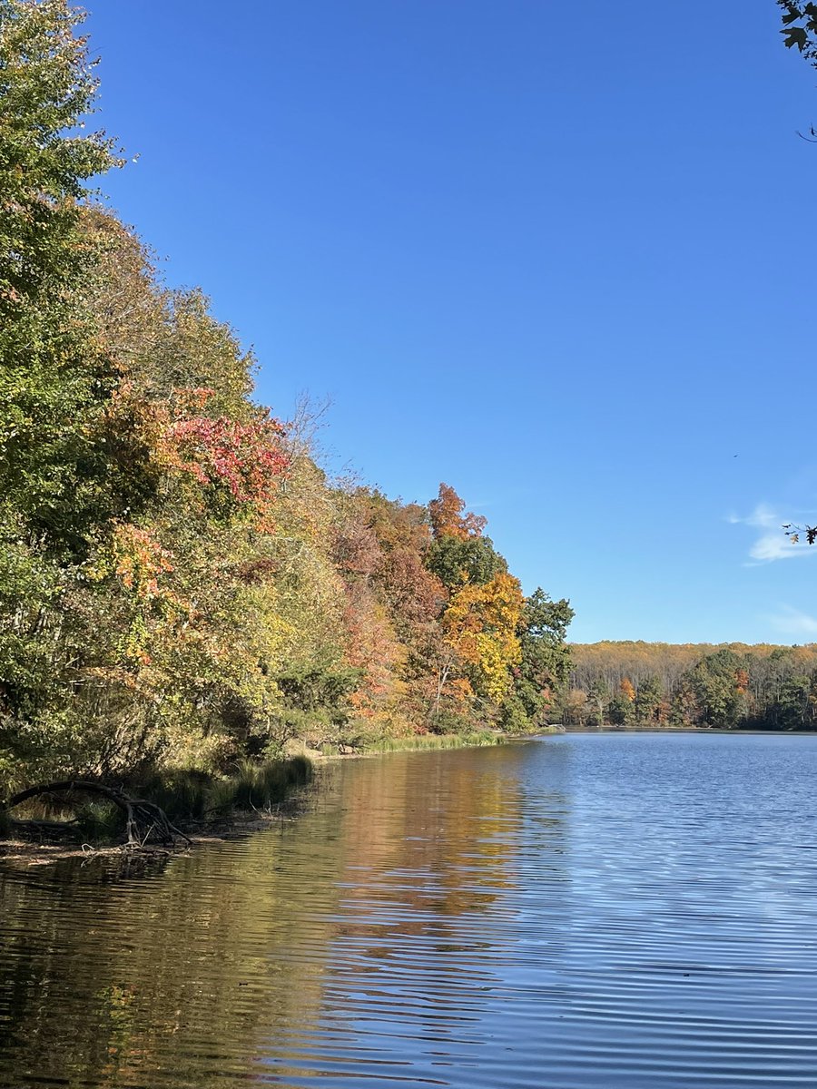 Christina Saull tweet media