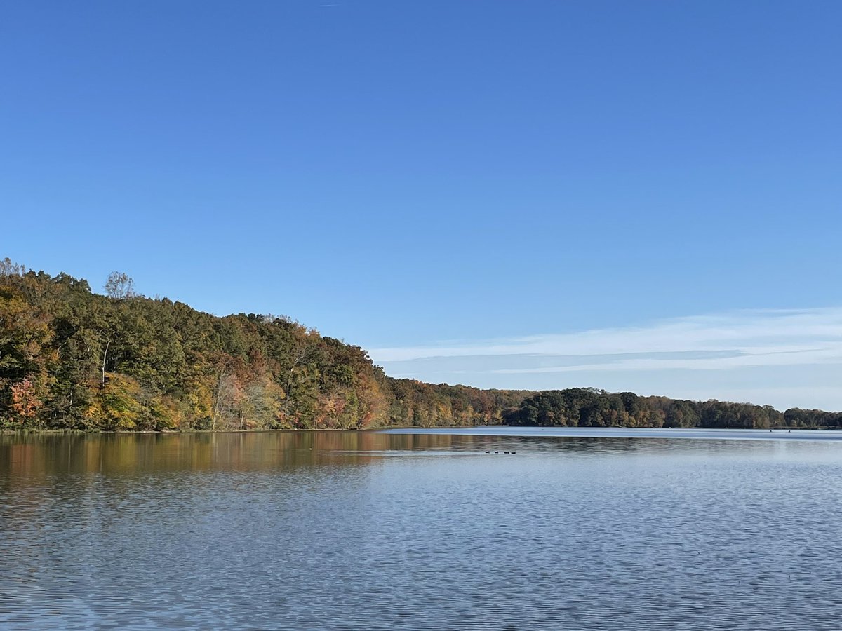 Christina Saull tweet media