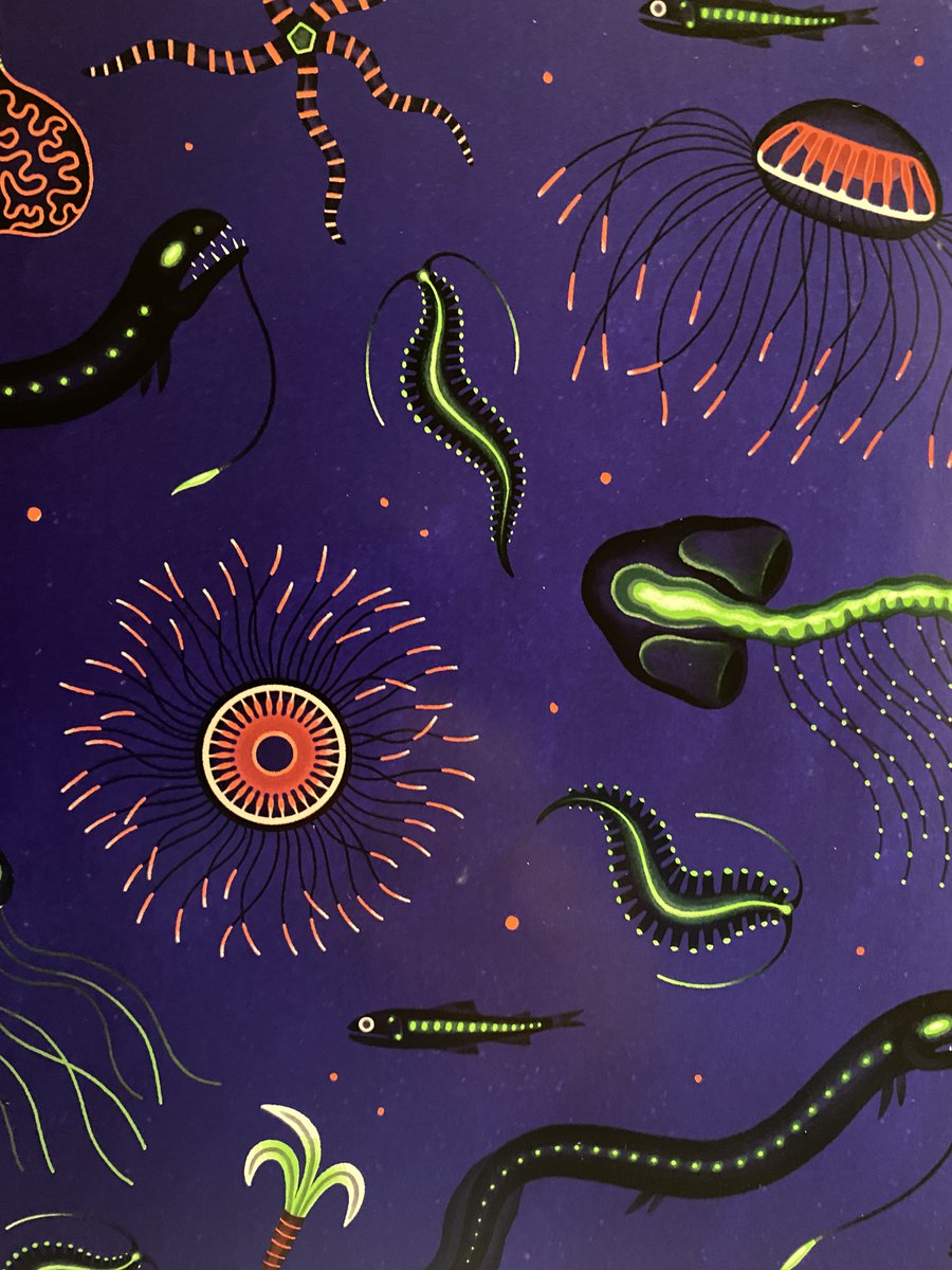 Endpapers (@_endpapers) on Twitter photo 1000. Beasts From the Deep
Matt Ralphs & Kaley McKean
<a href="/MattRalphs2/">Matt Ralphs</a> <a href="/KaleyMcKean/">Kaley McKean</a> <a href="/NosyCrow/">Nosy Crow</a> 1000. Beasts From the Deep
Matt Ralphs & Kaley McKean
<a href="/MattRalphs2/">Matt Ralphs</a> <a href="/KaleyMcKean/">Kaley McKean</a> <a href="/NosyCrow/">Nosy Crow</a>
