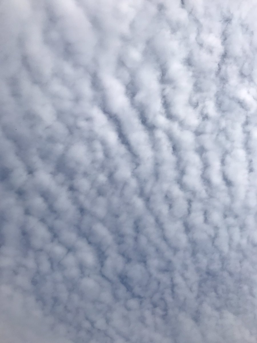 Nuernb_Kodex's tweet image. #GeoEngineering
#HAARP
 #SolarRadiationModification