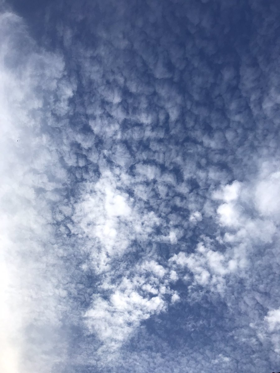 Nuernb_Kodex's tweet image. #GeoEngineering
#HAARP
 #SolarRadiationModification