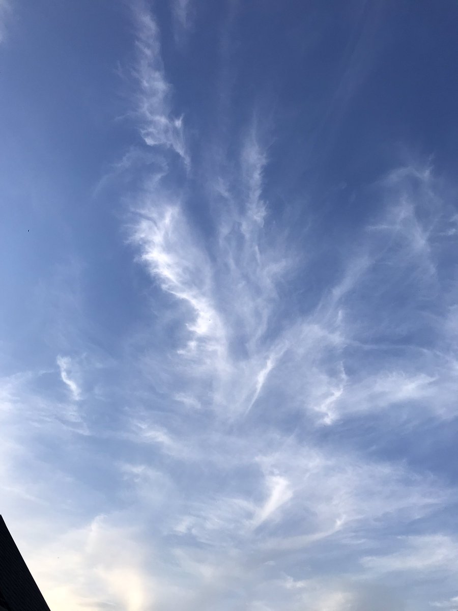 Nuernb_Kodex's tweet image. #GeoEngineering
#HAARP
 #SolarRadiationModification