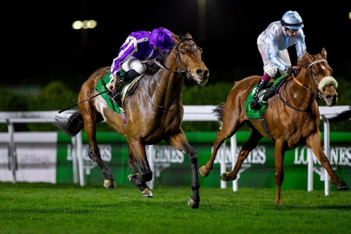 horsesnewsnet's tweet photo. Race Upgrades and Increased Prize Money Boosts for 2025 Saudi Cup Meeting
Riyadh Dirt Sprint and Red Sea Turf Handicap both promoted to international Group 2 status with Riyadh Dirt Sprint worth an extra USD$500k

Tuesday 22 October 2024 – This season’s Saudi Cup meeting will see two significant race upgrades as well as a boost to prize money, with both the Sports Boulevard Riyadh Dirt Sprint and Longines Red Sea Turf Handicap becoming Group 2 contests for the first time, while there will also be a number of major upgrades throughout the 2024/25 Riyadh season.
The Sports Boulevard Riyadh Dirt Sprint, won last year by Japanese raider Remake, will see its prize money boosted by US$500,000 to US$2 million, while the Longines Red Sea Turf Handicap, which went to the Aidan O-Brien-trained Tower Of London, will once again be worth US$2.5 million.
The world’s most valuable race meeting will be run on Friday 21 and Saturday 22 February, with day two featuring a Group 3, four Group 2s and two Group 1 races – the Diriyah Gate Development Authority Obaiyah Arabian Classic and the US$20 million Saudi Cup – while day one will be highlighted by the Group 1 Ministry of Culture Al Mneefah Turf Cup for Purebred Arabians and the four-race International Jockeys’ Challenge.
Upgrades for key Saudi Cup meeting qualifiers
Alongside the improvements to The Saudi Cup meeting, several race upgrades have been announced for the domestic Riyadh season, which began at King Abdulaziz Racecourse on 17 October.
These include what will be the first international Thoroughbred Group race staged outside The Saudi Cup meeting; the Custodian of the Two Holy Mosques Cup (25 January) which is set to be run as a Group 3 for the first time.
The 1800m race, which serves as a qualifier for The Saudi Cup, was won last season by Power In Numbers when run as a Listed contest.
Another qualifying event for The Saudi Cup meeting has also been upgraded in the form of the Prince Khalid Abdullah Cup (24 January), a qualifier for the Group 2 Howden Neom Turf Cup, and has been promoted from Non-Graded to Listed status.
With the Riyadh season set to extend to Saturday 15 March, the newly promoted Listed King Abdulaziz Racetrack Championship Cup will bring the curtain down on the 2024/25 season.
A number of major races during the Riyadh season have also been rearranged to improve the pattern and aid as prep races for The Saudi Cup meeting.
The King Abdulaziz Cup, previously run in March, will now be contested on 25 January, allowing it to act as a prep race for Saudi-trained horses that may head to the G3 Saudi Derby.
The four Gulf Cooperation Cup races, which are open to horses trained in the GCC countries, and include the Gulf Cup (3yo colts and fillies), the Gulf Cup for fillies (4yo+), the Gulf Cup for Colts and Geldings (4yo+) and the Gulf Cup for Purebred Arabians (4yo+), will be moved from Saudi Cup Trials weekend and will now be run on 7 December.
The 2024/25 Riyadh season runs from 17 October 2024 to 15 March 2025 and will include 710 races, run across 62 racedays, more than ever before.
Prize money across the Riyadh season has also hit a new high with a total of SAR84,628,000/approx. US$22.5 million (excluding The Saudi Cup meeting) set to be won.
HRH Prince Bandar Bin Khalid Alfaisal, Chairman of the JCSA said: “We are delighted to announce further race upgrades both to the 2025 Saudi Cup meeting and across the domestic Riyadh programme this season, which will further strengthen racing both within The Kingdom and internationally.
“The two additional international Group 2 contests now on the Saudi Cup card underlines our continued investment in international racing and our aim to welcome the greatest horses from around the world to our premier meeting.
“Saudi horses tasted success in both the Obaiyah and Al Mneefah Cups at last year’s meeting and with the further strengthening of the domestic programme, through upgrades to races such as the Custodian of the Two Holy Mosques Cup, we look forward to once again taking on the best international competitors.
“We extend a warm welcome to all racegoers to come and enjoy the exciting Riyadh racing season ahead, as we build up to The Saudi Cup which promises to be another incredible two days of international competition.”